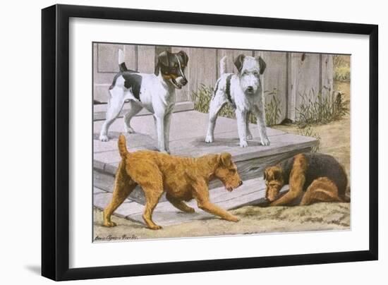 Terriers-null-Framed Art Print