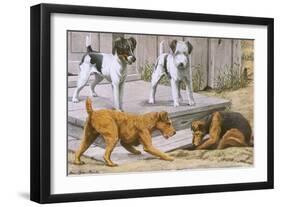 Terriers-null-Framed Art Print