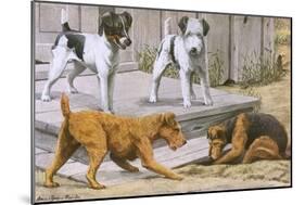 Terriers-null-Mounted Art Print