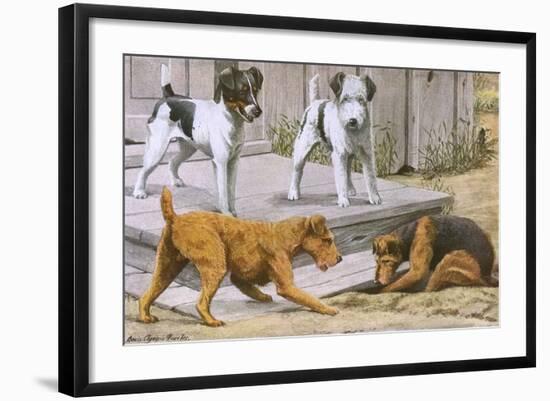 Terriers-null-Framed Art Print