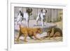 Terriers-null-Framed Art Print