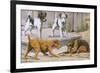 Terriers-null-Framed Art Print