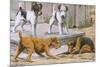 Terriers-null-Mounted Art Print