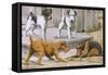 Terriers-null-Framed Stretched Canvas