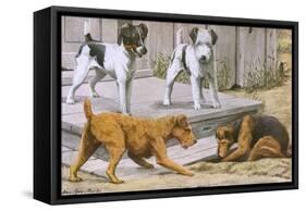 Terriers-null-Framed Stretched Canvas