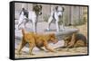 Terriers-null-Framed Stretched Canvas