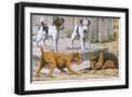 Black Frame