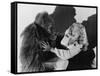 Terrified Woman Being Attacked by Gorilla-null-Framed Stretched Canvas