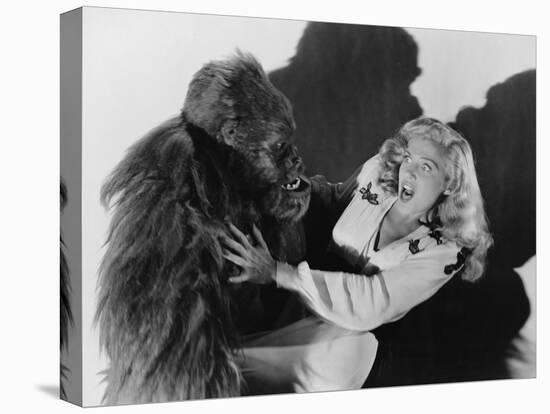 Terrified Woman Being Attacked by Gorilla-null-Stretched Canvas