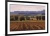 Terroir-Kent Lovelace-Framed Giclee Print