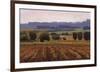 Terroir-Kent Lovelace-Framed Giclee Print