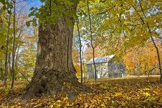 Michigan Barn in autumn-Terry Bidgood-Laminated Photographic Print