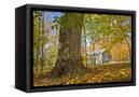 Canvas Black