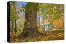 Stretched Canvas