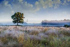 Michigan Barn in autumn-Terry Bidgood-Mounted Photographic Print