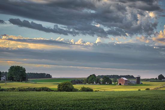 Premium Photographic Print, , large