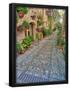 Essential Black