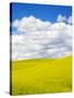 Stretched Canvas