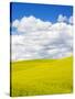 Stretched Canvas