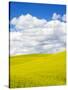 Stretched Canvas