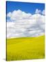 Stretched Canvas
