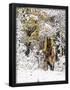 Essential Black
