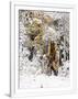 Gramercy White