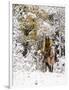 Gramercy White