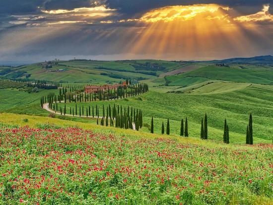 Premium Photographic Print, , large