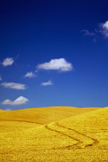 Premium Photographic Print, , large