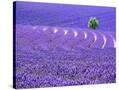 Stretched Canvas