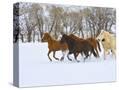 Stretched Canvas