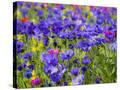 Stretched Canvas