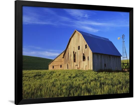 Photographic Print, , large