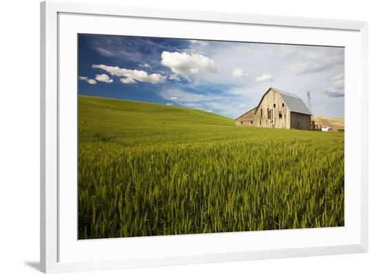 Framed Photographic Print, , large