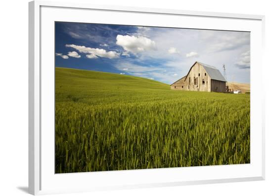Framed Photographic Print, , large