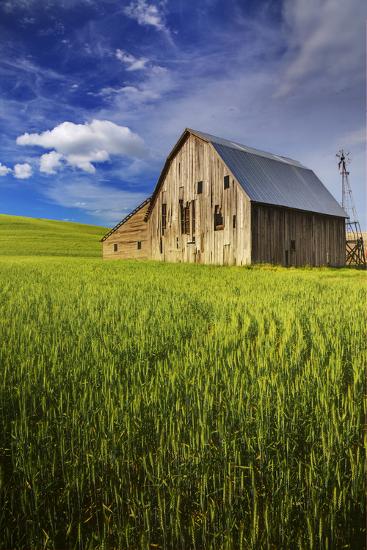 Premium Photographic Print, , large