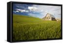 Canvas Black