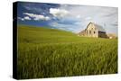 Stretched Canvas