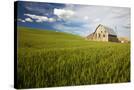 Stretched Canvas
