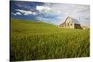 Stretched Canvas
