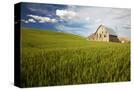 Stretched Canvas