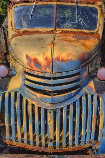Premium Photographic Print, , large
