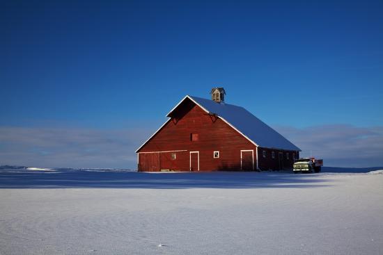 Photographic Print, , large