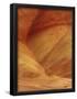 Essential Black