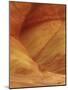Wood Mount