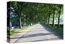 Stretched Canvas
