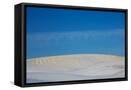 Framed Canvas