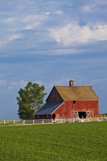 Premium Photographic Print, , large