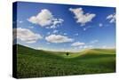 Stretched Canvas
